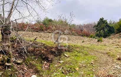 TURGUTLU HACIİSALAR'DA SATILIK ARSA