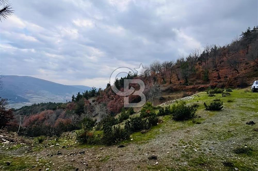 TURGUTLU HACIİSALAR'DA SATILIK ARSA