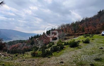 TURGUTLU HACIİSALAR'DA SATILIK ARSA