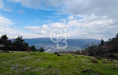 TURGUTLU HACIİSALAR'DA SATILIK ARSA