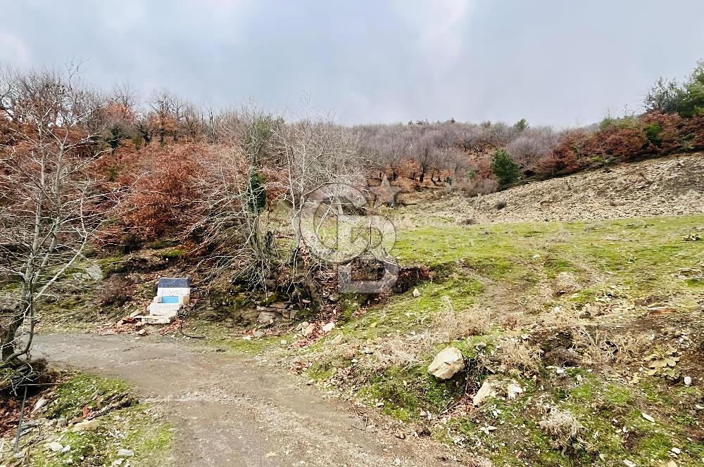 TURGUTLU HACIİSALAR'DA SATILIK ARSA