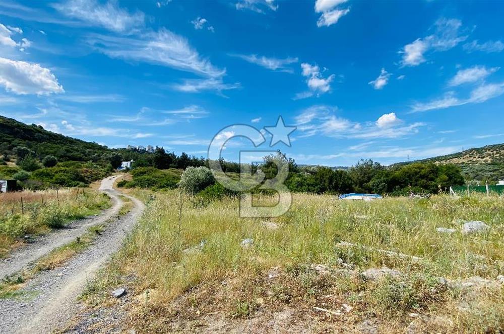 BORNOVA HOMEROS VADİSİNDE GÖLE KOMŞU SATILIK ARSA