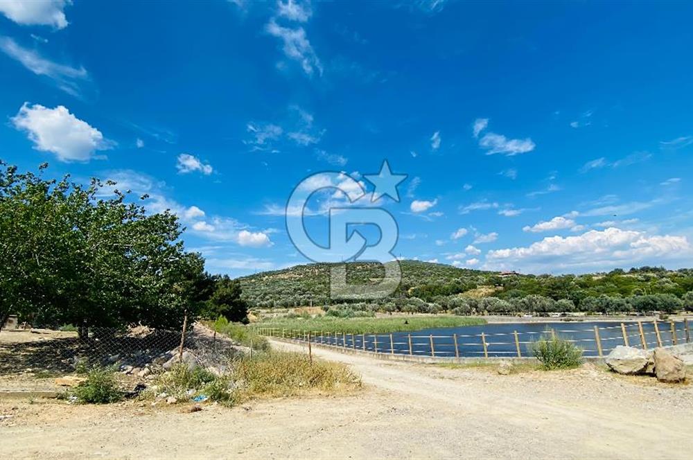 BORNOVA HOMEROS VADİSİNDE GÖLE KOMŞU SATILIK ARSA