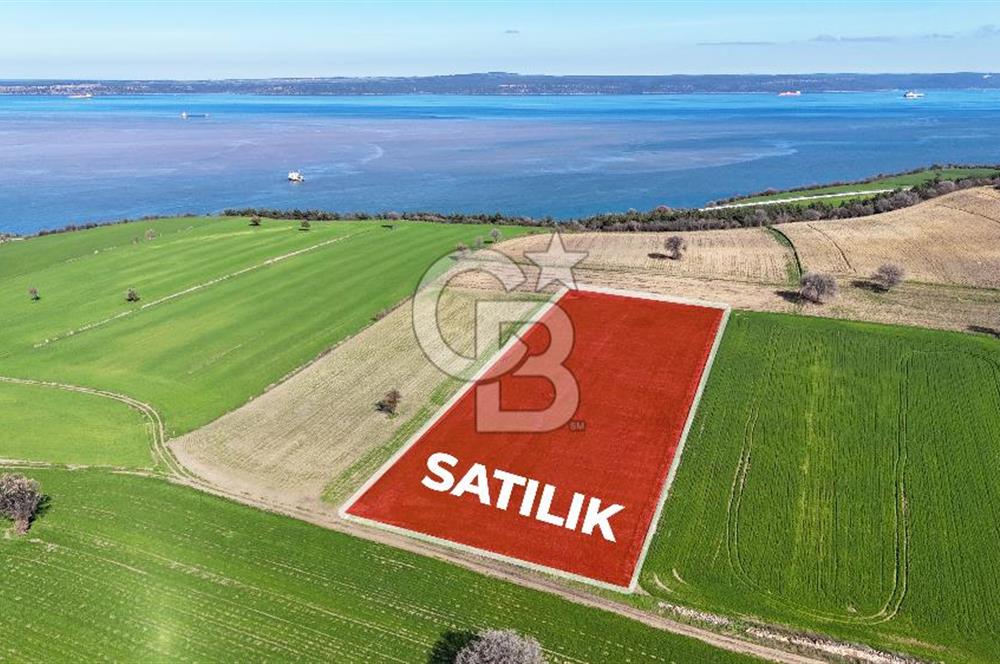 Çanakkale Halileli 7.851 m² Boğaz Manzaralı Satılık Tarla