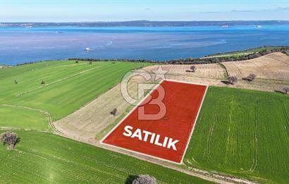 Çanakkale Halileli 7.851 m² Boğaz Manzaralı Satılık Tarla