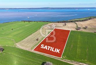 Çanakkale Halileli 7.851 m² Boğaz Manzaralı Satılık Tarla - 1 - 336807