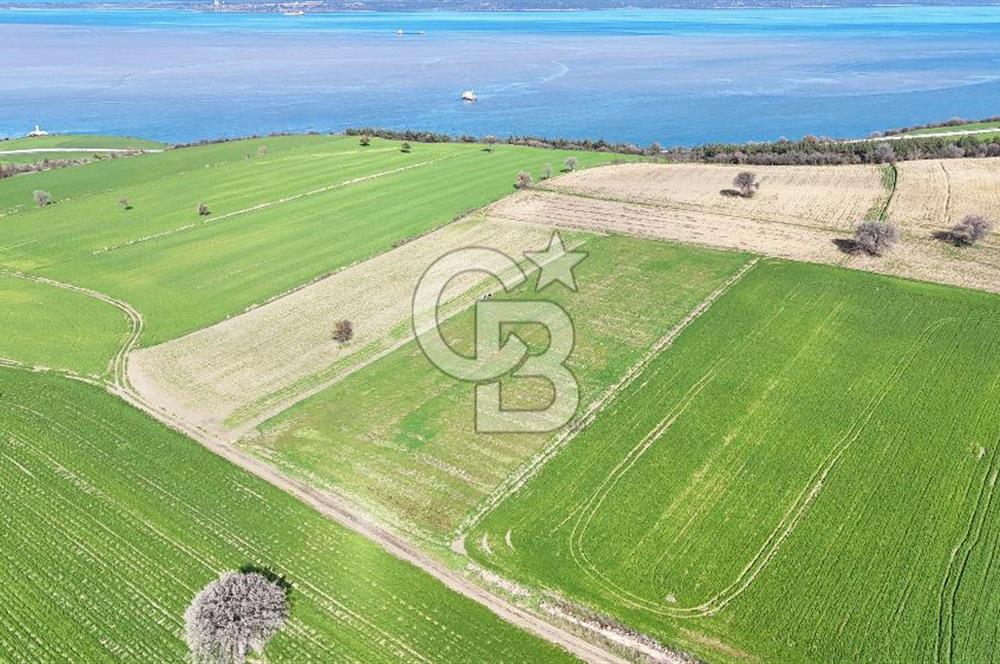 Çanakkale Halileli 7.851 m² Boğaz Manzaralı Satılık Tarla