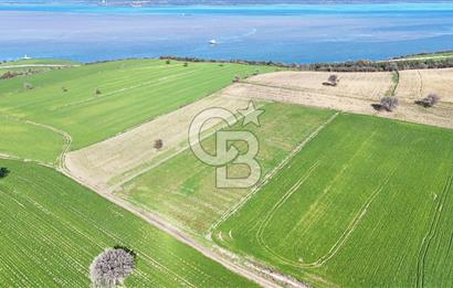 Çanakkale Halileli 7.851 m² Boğaz Manzaralı Satılık Tarla