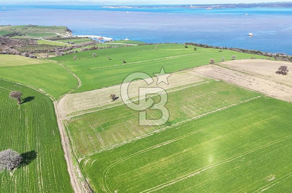 Çanakkale Halileli 7.851 m² Boğaz Manzaralı Satılık Tarla