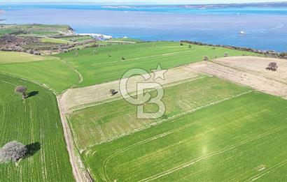 Çanakkale Halileli 7.851 m² Boğaz Manzaralı Satılık Tarla