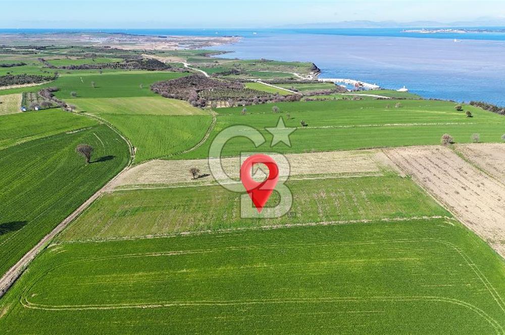 Çanakkale Halileli 7.851 m² Boğaz Manzaralı Satılık Tarla