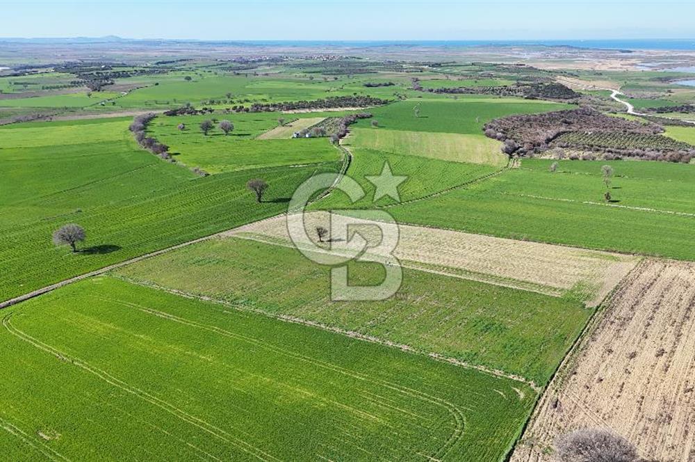 Çanakkale Halileli 7.851 m² Boğaz Manzaralı Satılık Tarla