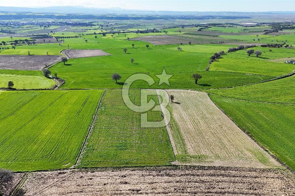 Çanakkale Halileli 7.851 m² Boğaz Manzaralı Satılık Tarla