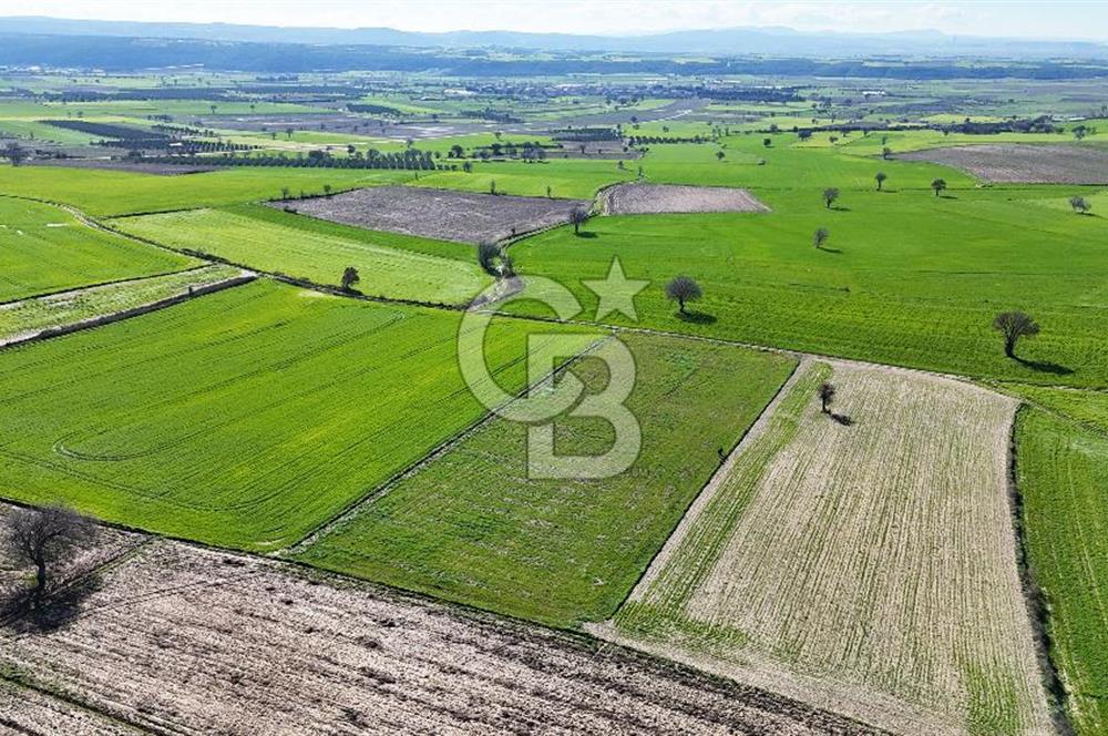 Çanakkale Halileli 7.851 m² Boğaz Manzaralı Satılık Tarla