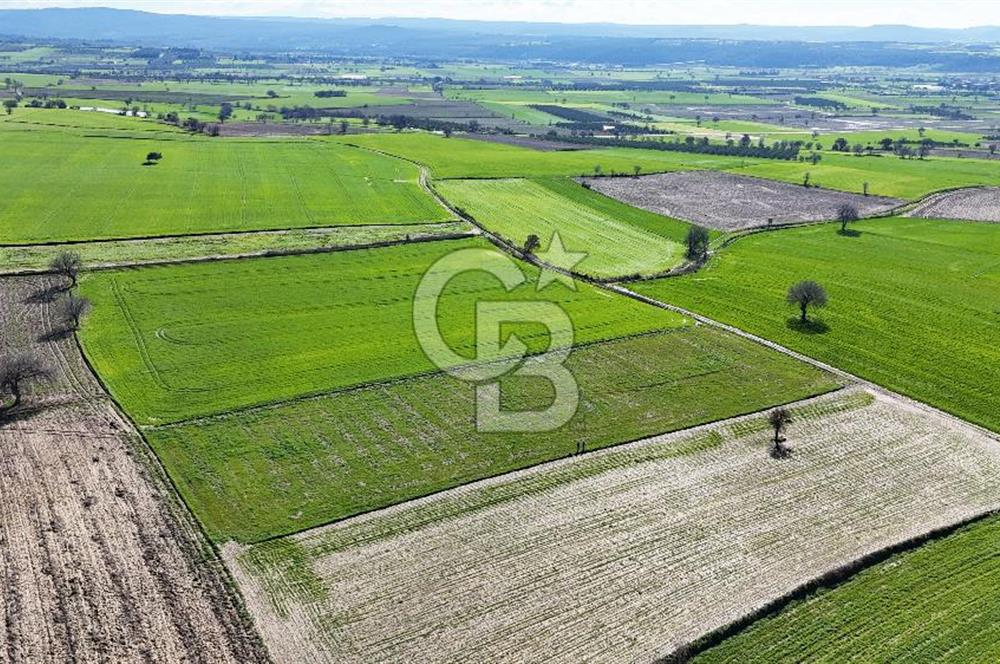 Çanakkale Halileli 7.851 m² Boğaz Manzaralı Satılık Tarla