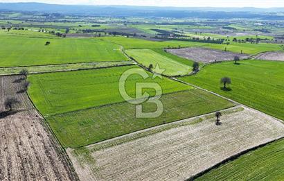 Çanakkale Halileli 7.851 m² Boğaz Manzaralı Satılık Tarla