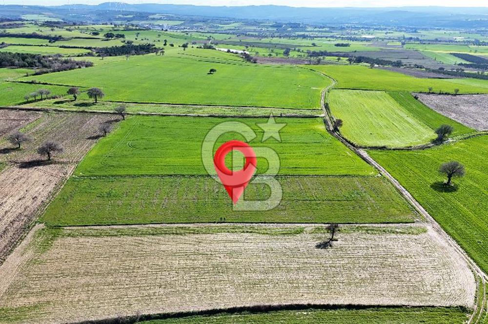 Çanakkale Halileli 7.851 m² Boğaz Manzaralı Satılık Tarla