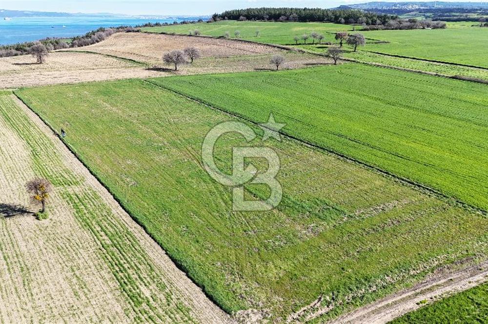 Çanakkale Halileli 7.851 m² Boğaz Manzaralı Satılık Tarla
