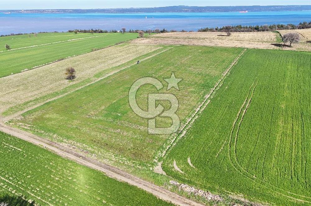 Çanakkale Halileli 7.851 m² Boğaz Manzaralı Satılık Tarla