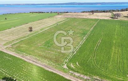 Çanakkale Halileli 7.851 m² Boğaz Manzaralı Satılık Tarla