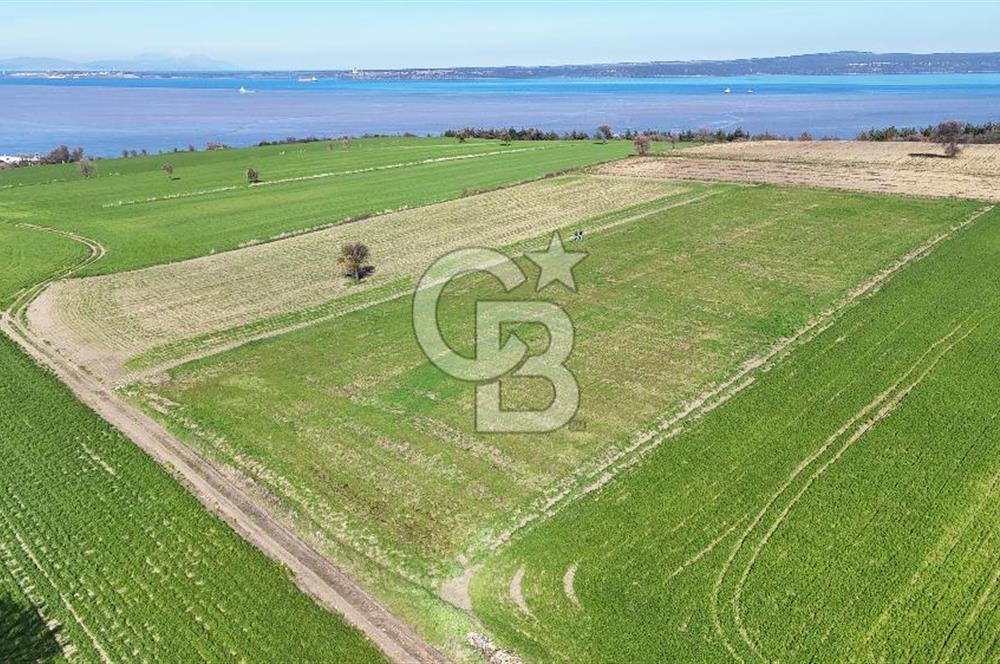 Çanakkale Halileli 7.851 m² Boğaz Manzaralı Satılık Tarla