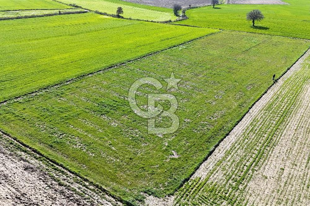 Çanakkale Halileli 7.851 m² Boğaz Manzaralı Satılık Tarla