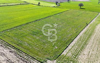 Çanakkale Halileli 7.851 m² Boğaz Manzaralı Satılık Tarla