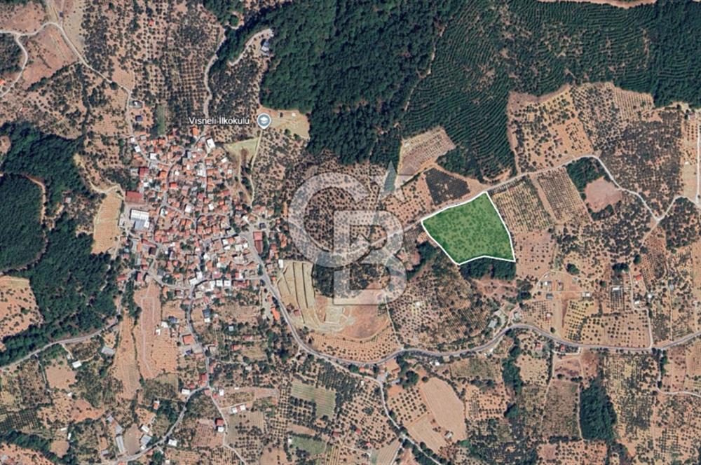 İzmir Kemalpaşa Vişneli Köyü Bitişiğinde 17.974 m2 Satılık Tarla