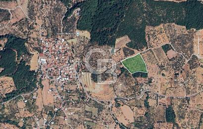 İzmir Kemalpaşa Vişneli Köyü Bitişiğinde 17.974 m2 Satılık Tarla