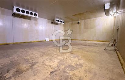 ÇANAKKALE MERKEZ DARDANOS’TA 300 m² KİRALIK DEPO ALANI