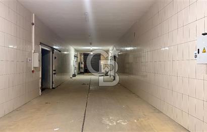 ÇANAKKALE MERKEZ DARDANOS’TA 300 m² KİRALIK DEPO ALANI