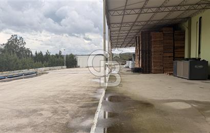 ÇANAKKALE MERKEZ DARDANOS’TA 300 m² KİRALIK DEPO ALANI