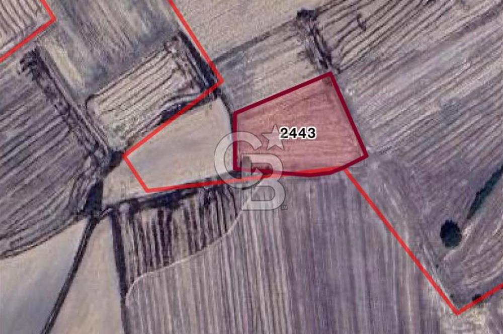 EDİRNE UZUNKÖPRÜ BAŞAĞILDA BARAJA VE ANAYOLA YAKIN SATILIK TARLA