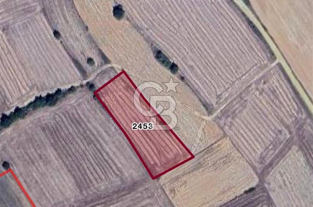  EDİRNE UZUNKÖPRÜ BAŞAĞILDA BARAJA VE ANAYOLA YAKIN SATILIK TARLA