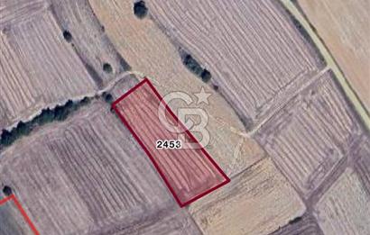  EDİRNE UZUNKÖPRÜ BAŞAĞILDA BARAJA VE ANAYOLA YAKIN SATILIK TARLA