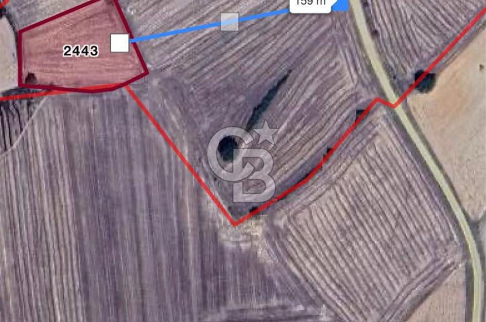 EDİRNE UZUNKÖPRÜ BAŞAĞILDA BARAJA VE ANAYOLA YAKIN SATILIK TARLA