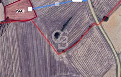 EDİRNE UZUNKÖPRÜ BAŞAĞILDA BARAJA VE ANAYOLA YAKIN SATILIK TARLA