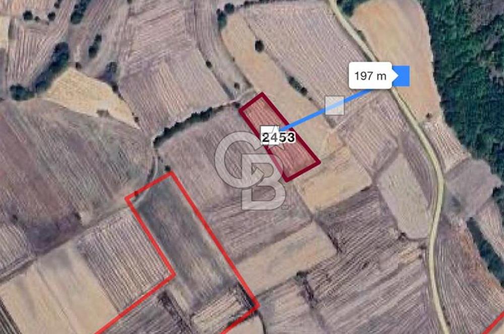  EDİRNE UZUNKÖPRÜ BAŞAĞILDA BARAJA VE ANAYOLA YAKIN SATILIK TARLA