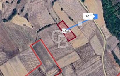  EDİRNE UZUNKÖPRÜ BAŞAĞILDA BARAJA VE ANAYOLA YAKIN SATILIK TARLA