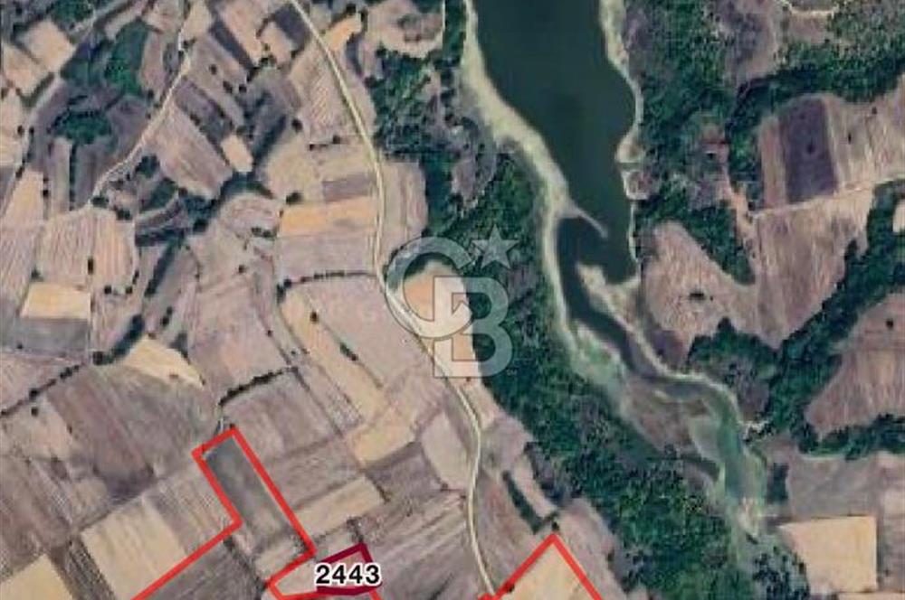 EDİRNE UZUNKÖPRÜ BAŞAĞILDA BARAJA VE ANAYOLA YAKIN SATILIK TARLA