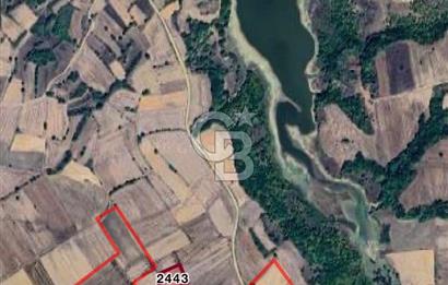 EDİRNE UZUNKÖPRÜ BAŞAĞILDA BARAJA VE ANAYOLA YAKIN SATILIK TARLA