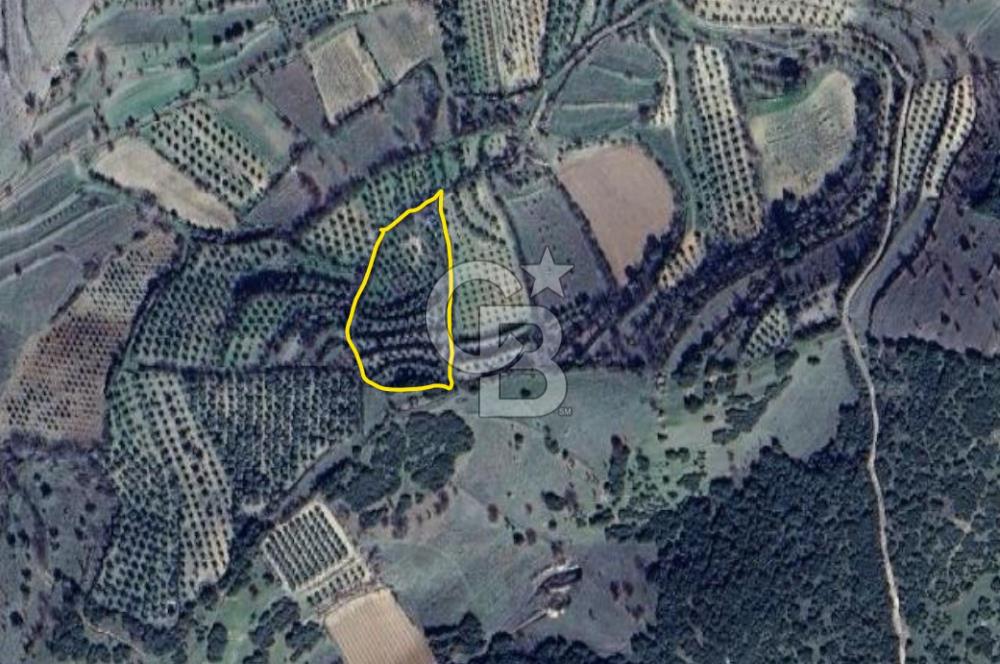  SATILIK AYDIN SÖKE IMARLI ARSA