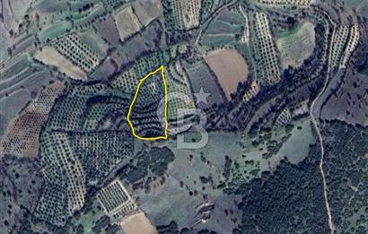  SATILIK AYDIN SÖKE IMARLI ARSA