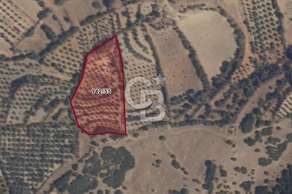  SATILIK AYDIN SÖKE IMARLI ARSA