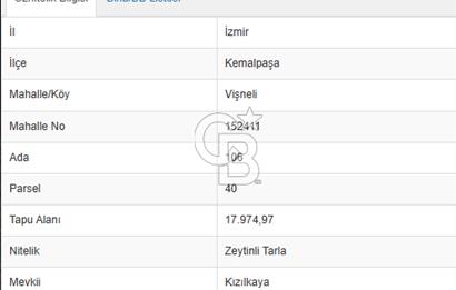 İzmir Kemalpaşa Vişneli Köyü Bitişiğinde 17.974 m2 Satılık Tarla