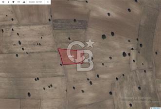 CB CITY' DEN KÜTAHYA/MERKEZ KARACAÖREN MAH SATILIK TARLA - 4 - 336839