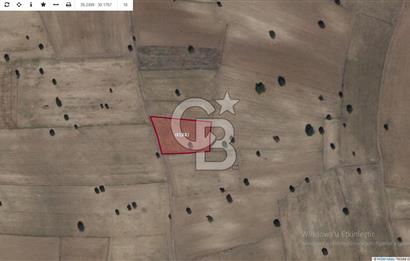 CB CITY' DEN KÜTAHYA/MERKEZ KARACAÖREN MAH SATILIK TARLA