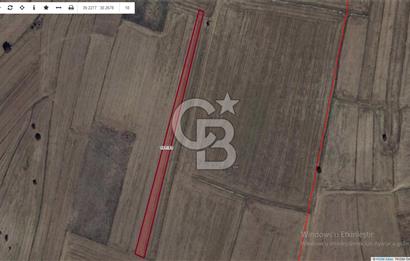 CB CITY' DEN KÜTAHYA/MERKEZ ÇAVUŞÇİFTLİĞİ MAH SATILIK TARLA