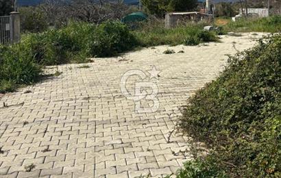 Urla Kuşçular Yoluna Cepheli Satılık Kooperatif Hissesi