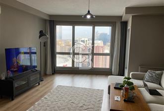 ANDROMEDA KİRALIK EŞYALI BOŞ DAİRE - 2 - 336846